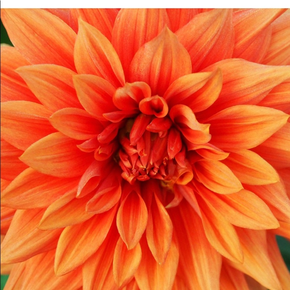 Don’t be shy, feel free to make offers 😀